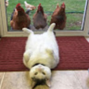 Meet your Posher, Victoria